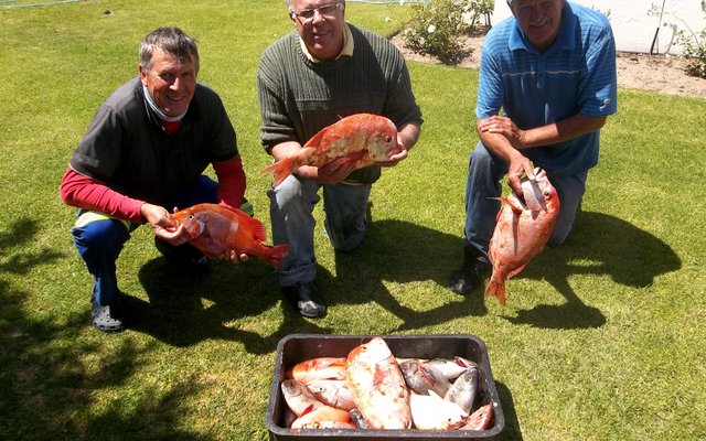 Dis ds Dirk van Dyk (middel) en regs van hom, George Rowan en ook Jean Downing wat kan spog met die goeie vangs, Vrydag, en hulle was nie eens baie ver van Kleinbaai-hawe nie. Wys jou waartoe â€˜n boot in staat is!